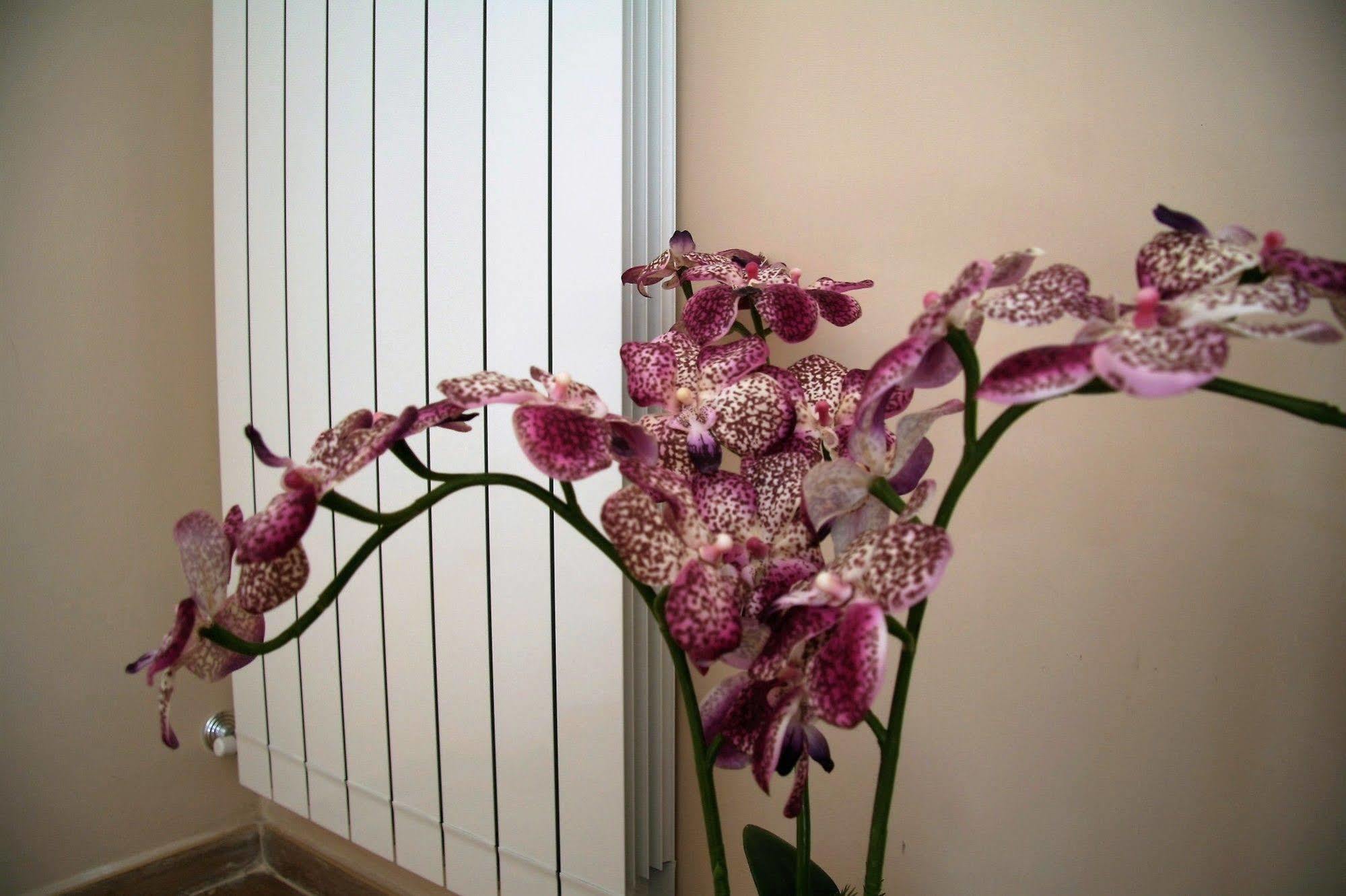 B&B Giacomino Sorrento Ngoại thất bức ảnh